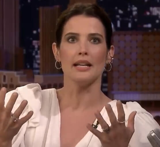 Cobie Smulders Net Worth