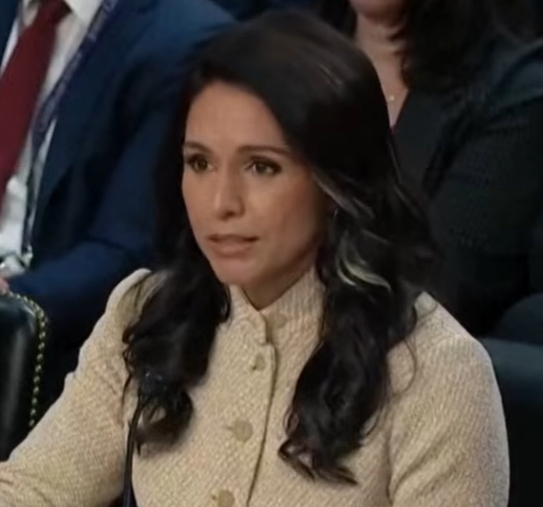 Tulsi Gabbard Net Worth