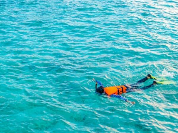 Lyme Bay Sea Swimming